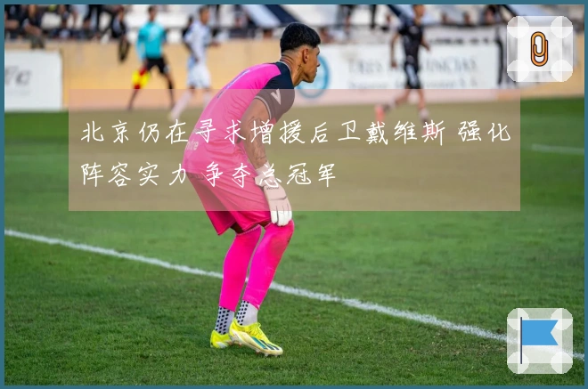 北京仍在寻求增援后卫戴维斯 强化阵容实力 争夺总冠军