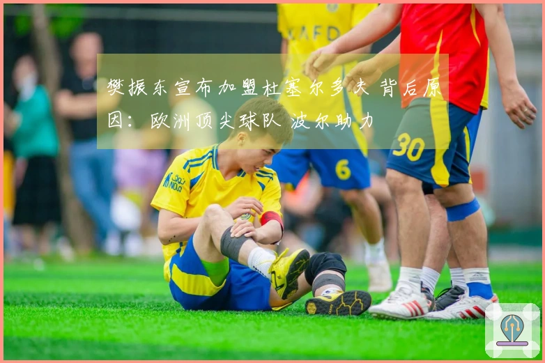 樊振东宣布加盟杜塞尔多夫 背后原因：欧洲顶尖球队 波尔助力