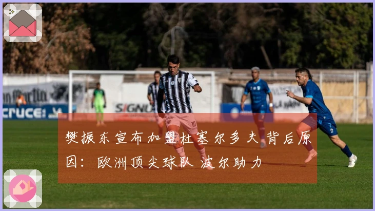 樊振东宣布加盟杜塞尔多夫 背后原因：欧洲顶尖球队 波尔助力